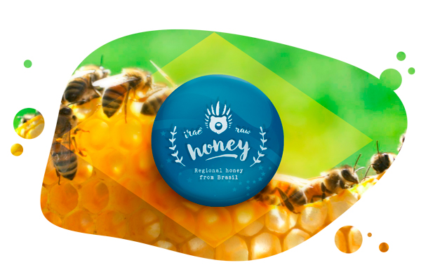 brazilian-honey-bee-trade-export-trading-organic-raw--blossom-mel-brasileiro-brazil